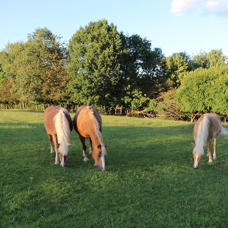 Les Grands Frenes Bed & Breakfast Plaine-de-Walsch Luaran gambar